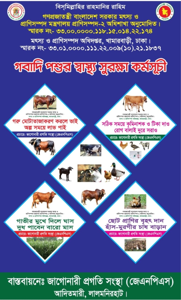 WhatsApp Image 2024-12-18 at 10.41.07 PM